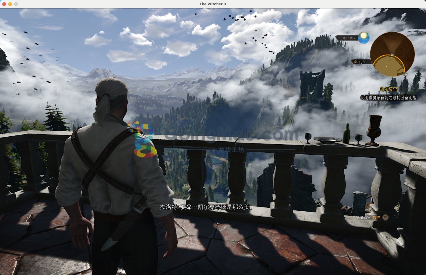 巫师3：狂猎 终极版 截图13