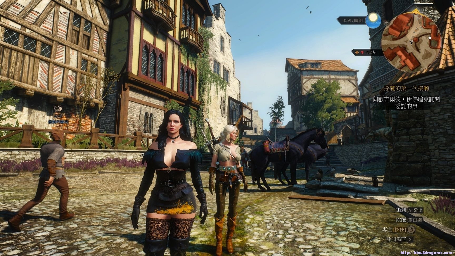 巫师3：狂猎 终极版 截图21