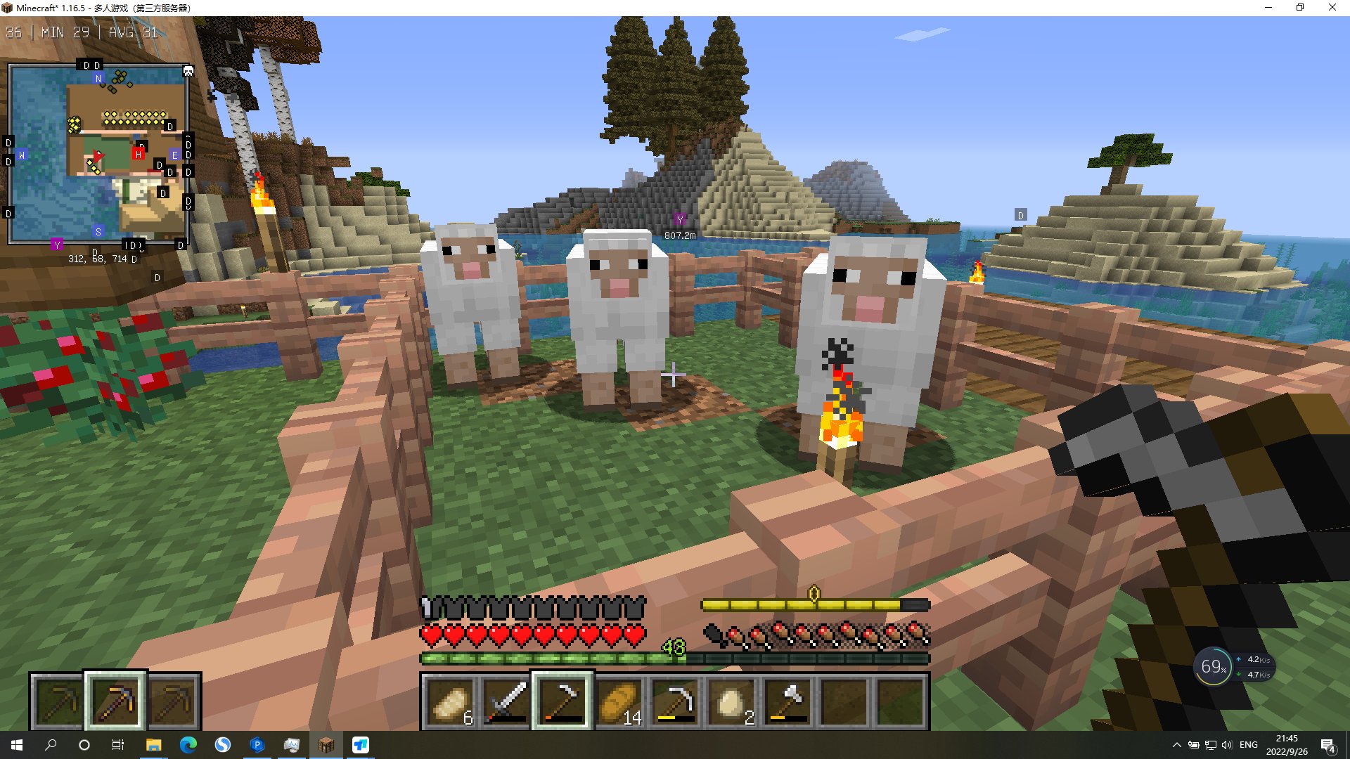 F1 2024 完整版 截图3