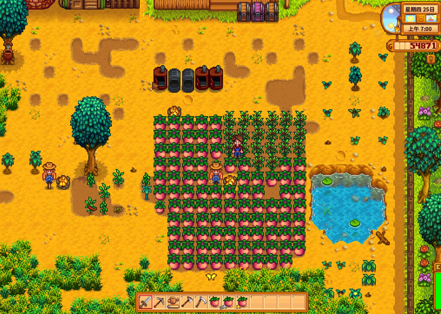 泰拉瑞亚 豪华版 截图10