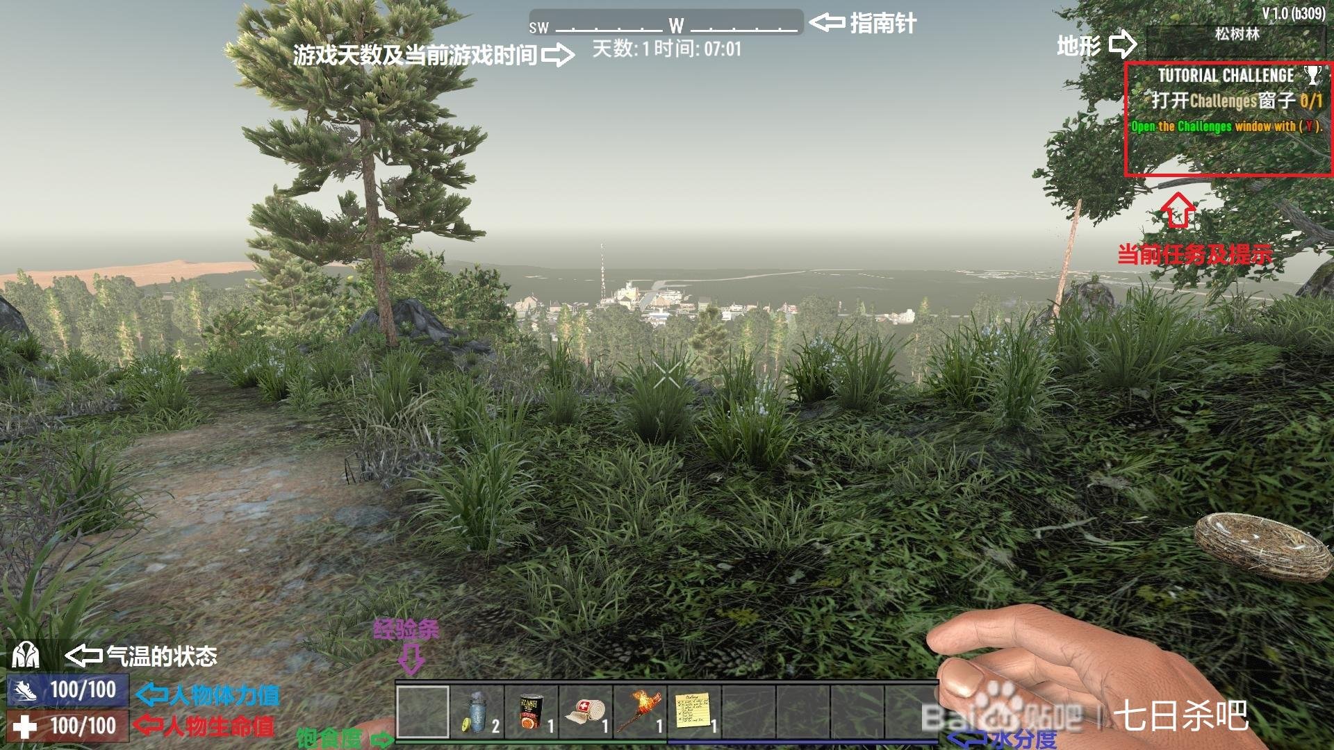 空洞骑士 豪华版 截图8