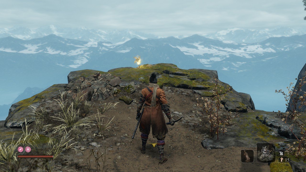 空洞骑士 豪华版 截图14